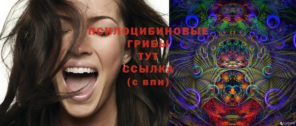 эйфоретик Абинск