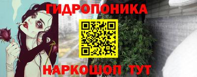 jwh Новодвинск