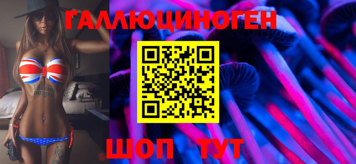 Псилоцибиновые грибы Psilocybe Хабаровск